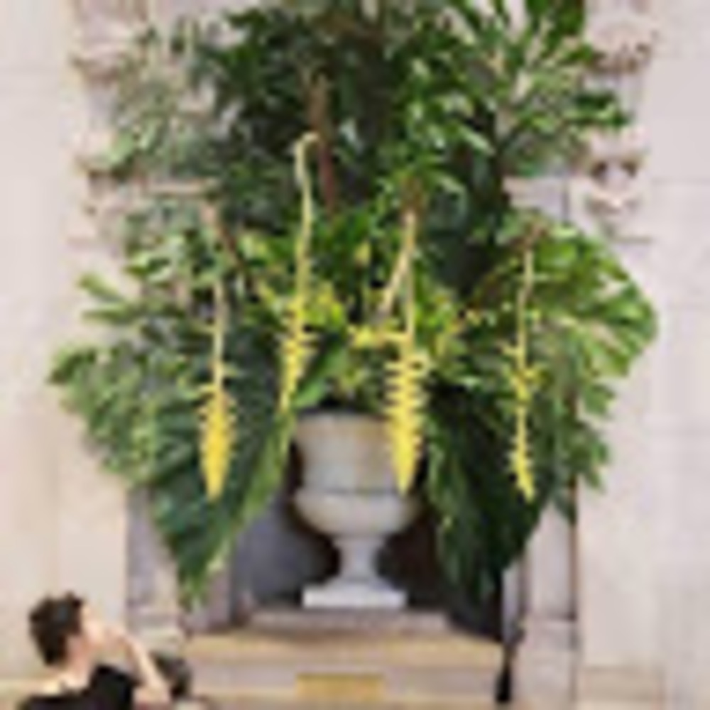 Meet your Posher, Helen